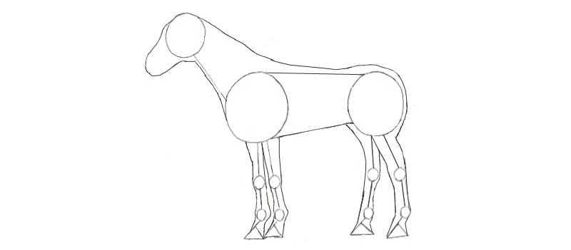 آموزش گام به گام طراحی اسب به صورت بسیار ساده با مداد سیاه + تصویر هر قدم