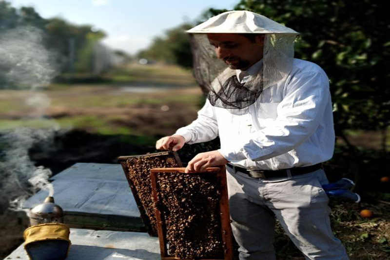 عسلیران - خرید عسل طبیعی از زنبورداران فروش انواع عسل طبیعی و وحشی